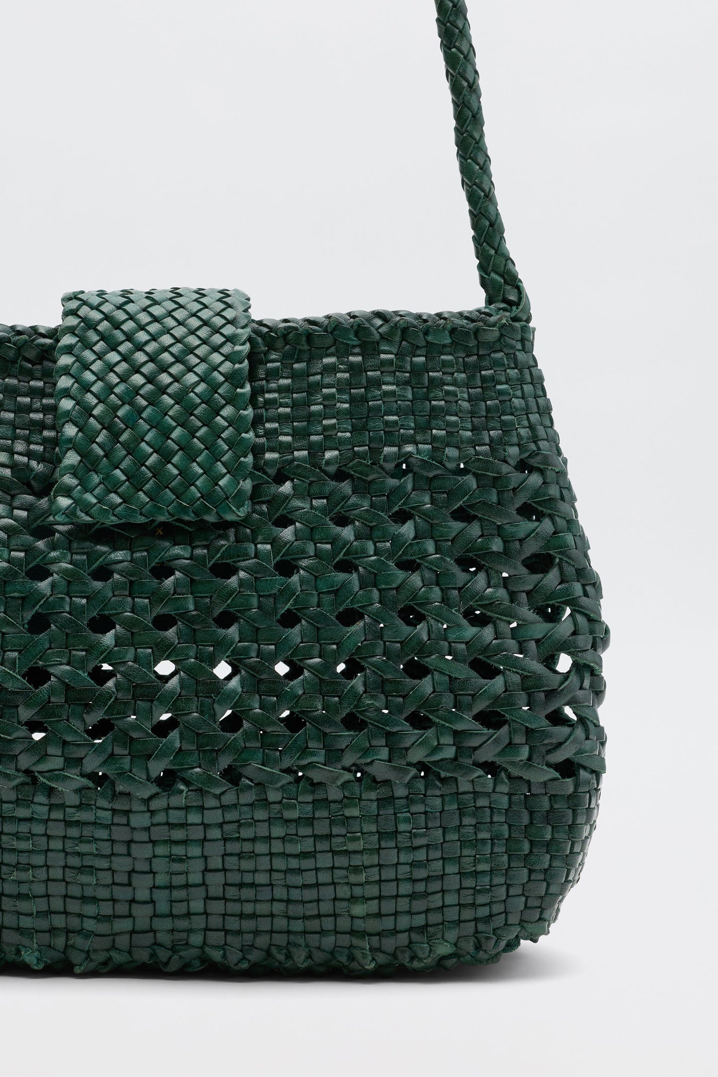 Amoria  -  Green